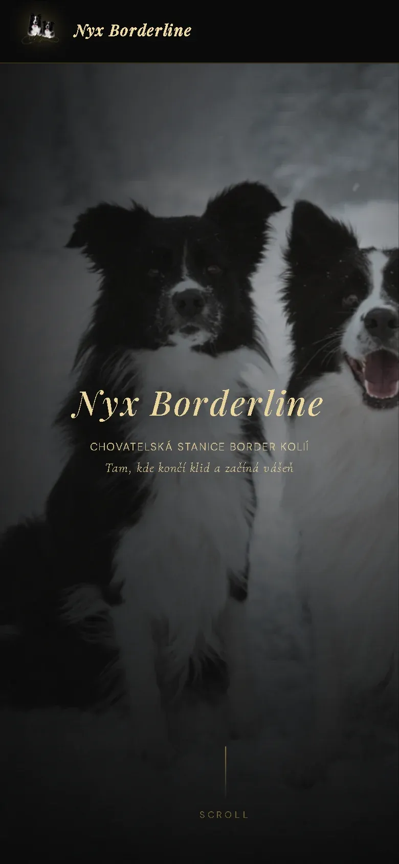 Web Nyx Borderline na telefonu