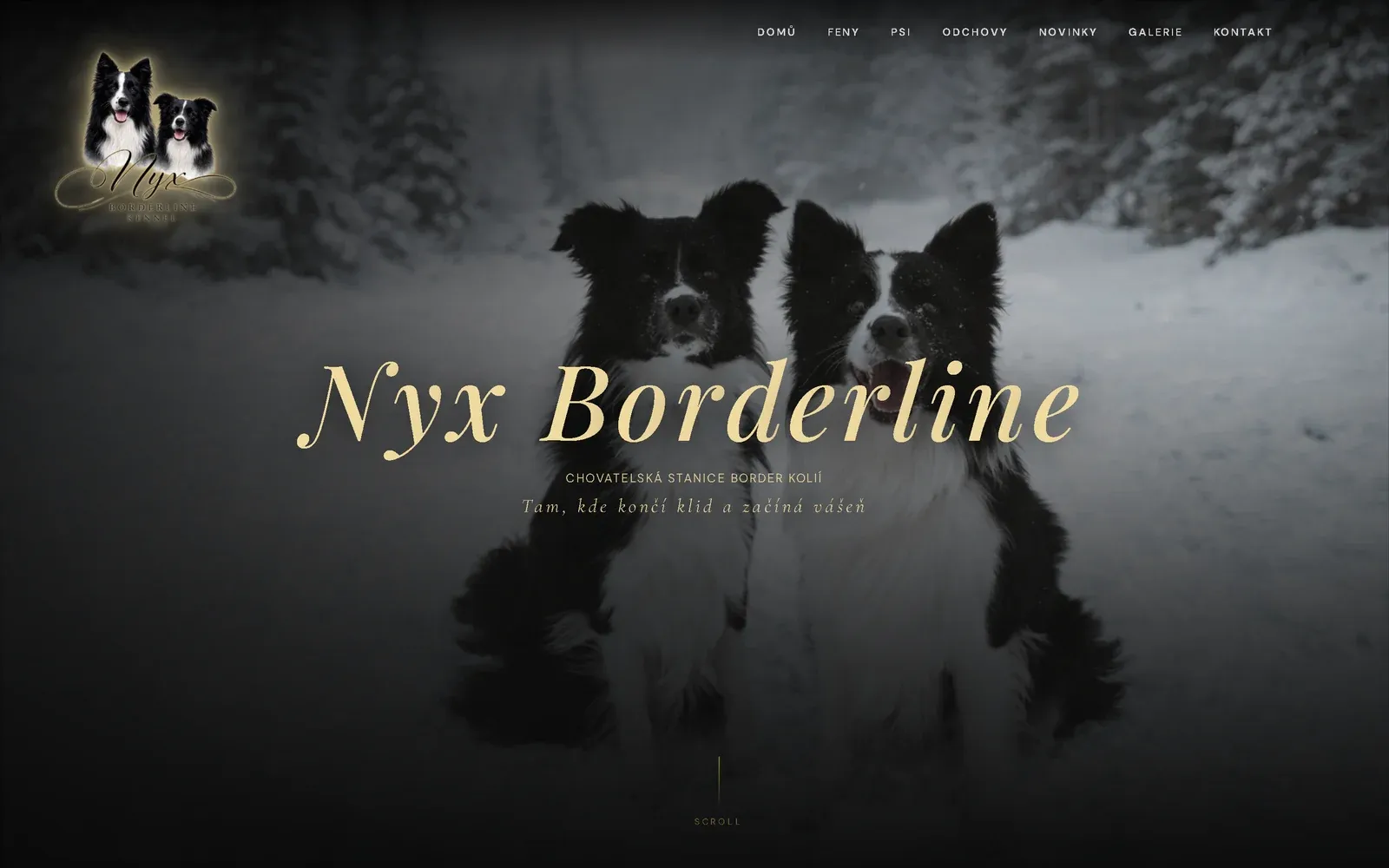 Úvodní obrazovka webu nyxborderline.cz